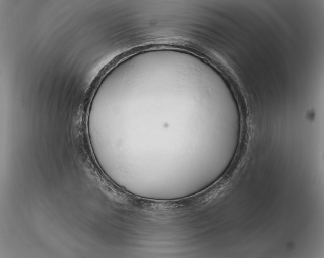 X0000116280875200912211817