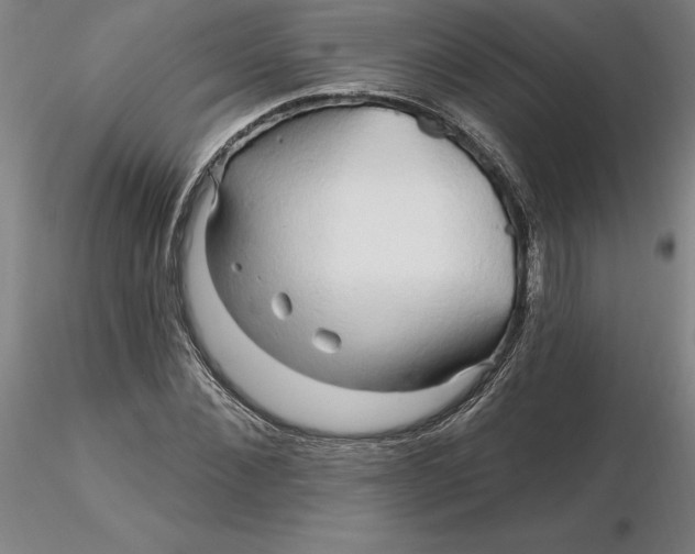 X0000116280876200912211817