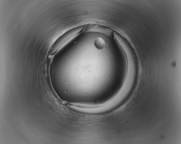 X0000116280877200912211817