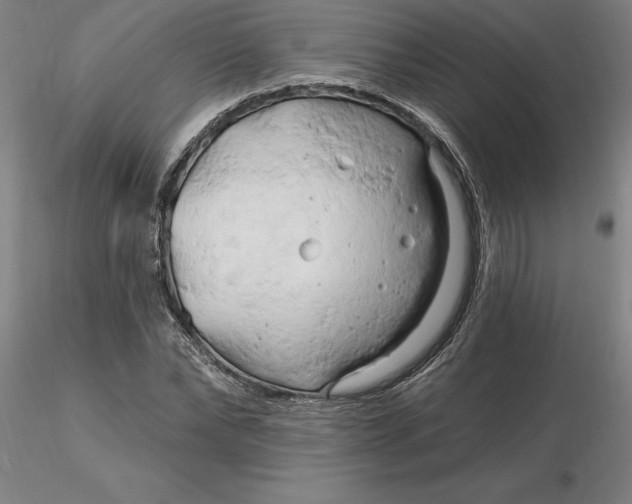 X0000116280878200912211817