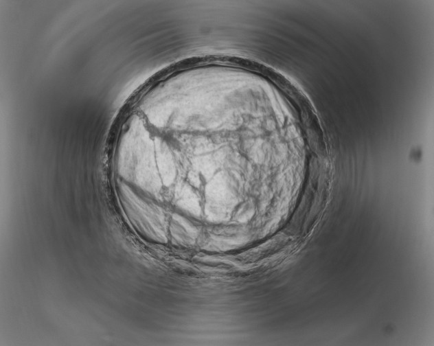 X0000116280879200912211817