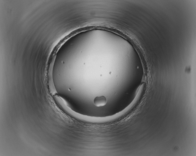 X0000116280880200912211817