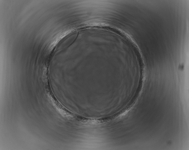 X0000116280881200912211817