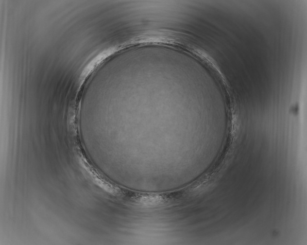 X0000116280882200912211817