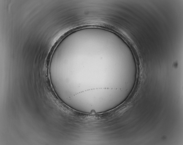 X0000116280883200912211817