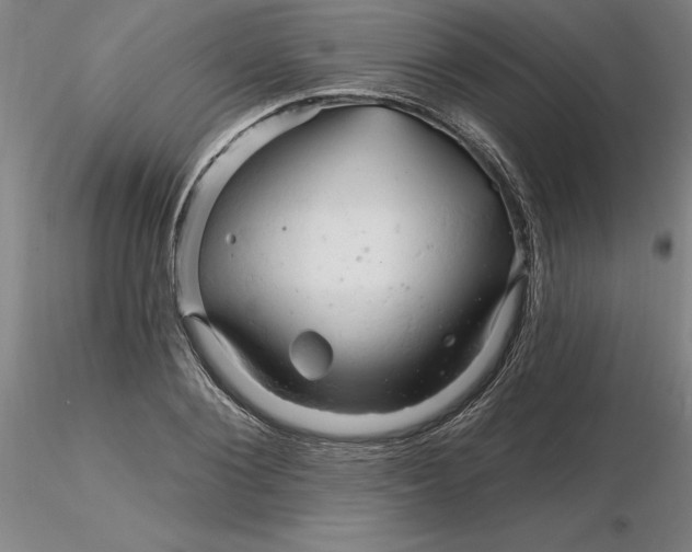 X0000116280884200912211817