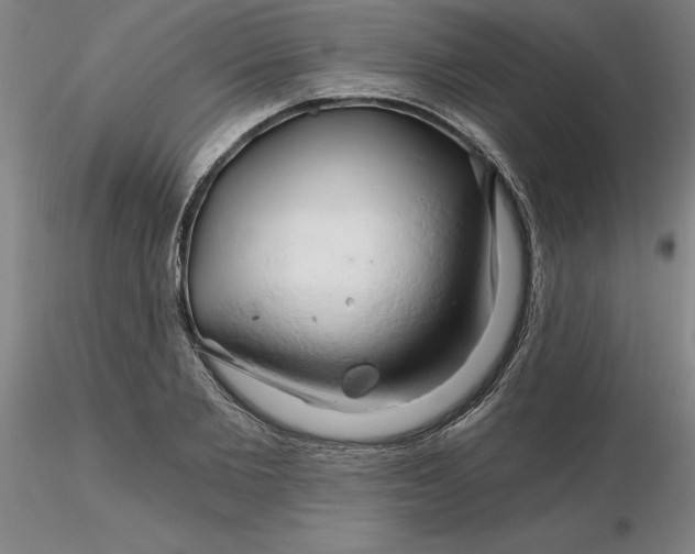 X0000116280885200912211817