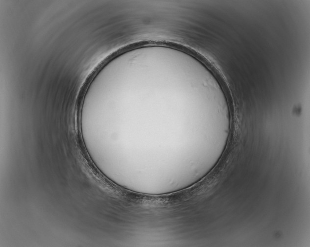 X0000116280887200912211817