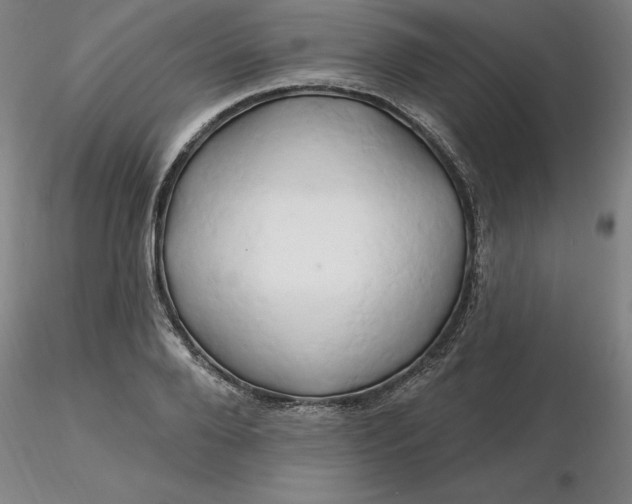 X0000116280888200912211817