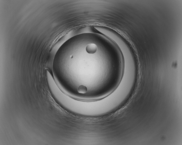 X0000116280889200912211817