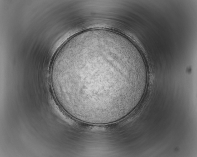 X0000116280890200912211817