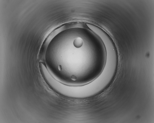 X0000116280891200912211817