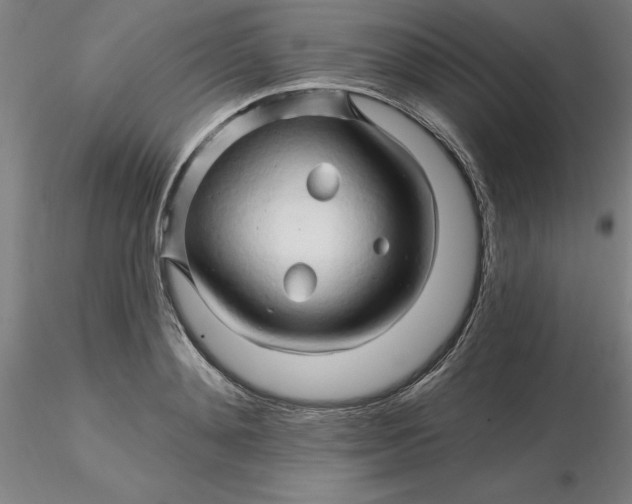 X0000116280892200912211817