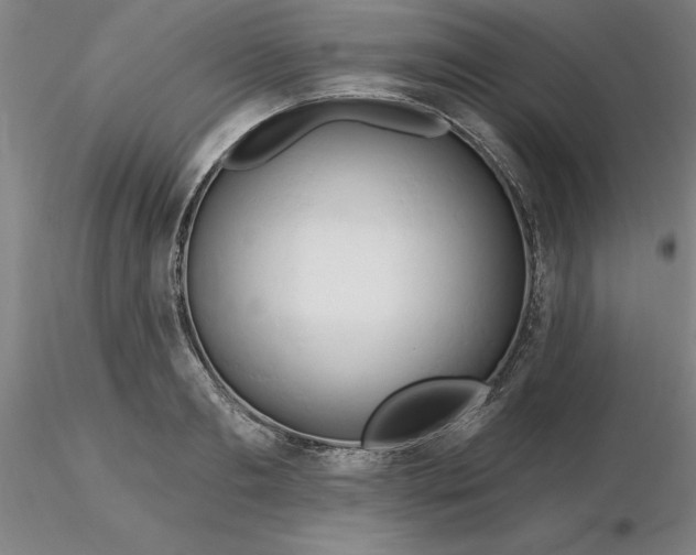 X0000116280893200912211817