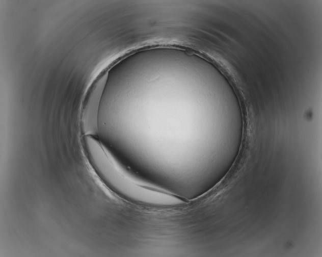 X0000116280894200912211817