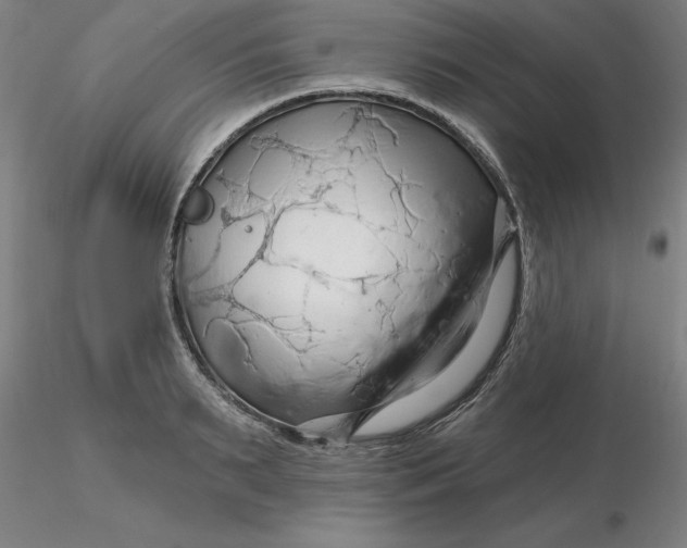 X0000116280895200912211817