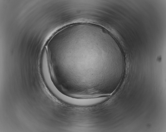 X0000116280896200912211817