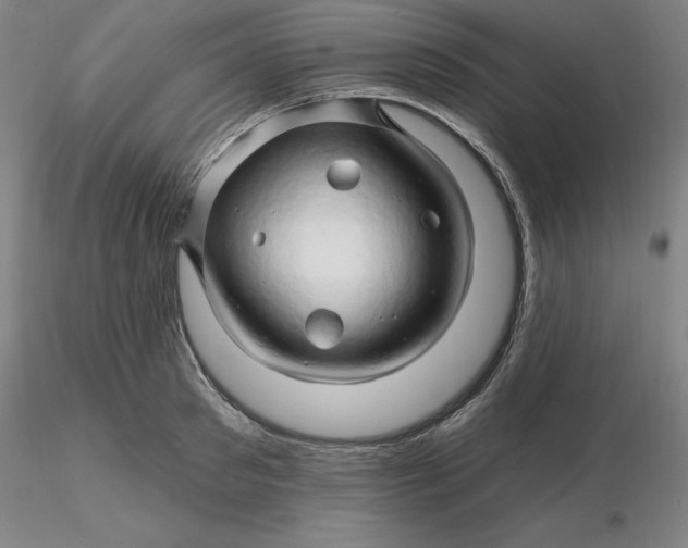 X0000116280897200912211817