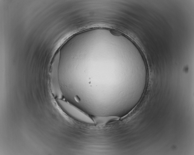 X0000116280898200912211817