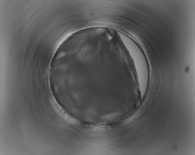 X0000116280899200912211817