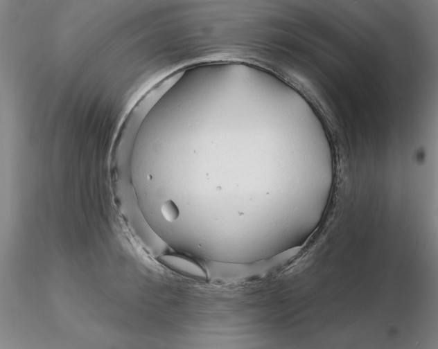 X0000116280900200912211817