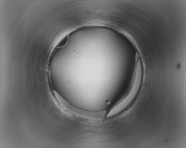 X0000116280901200912211816