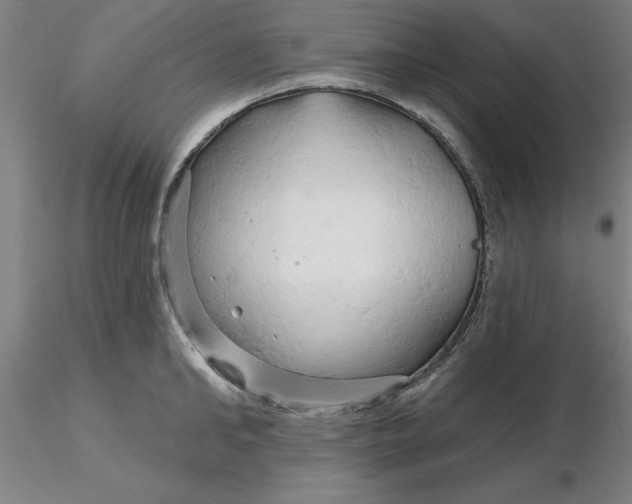 X0000116280902200912211816