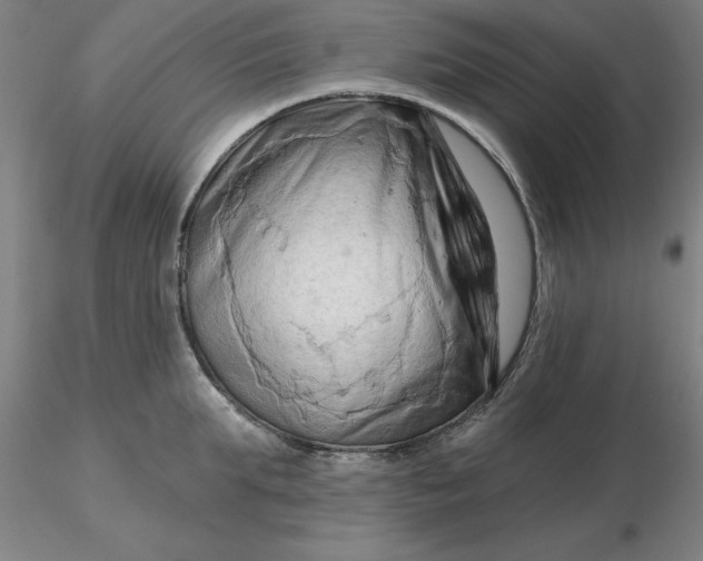 X0000116280903200912211816