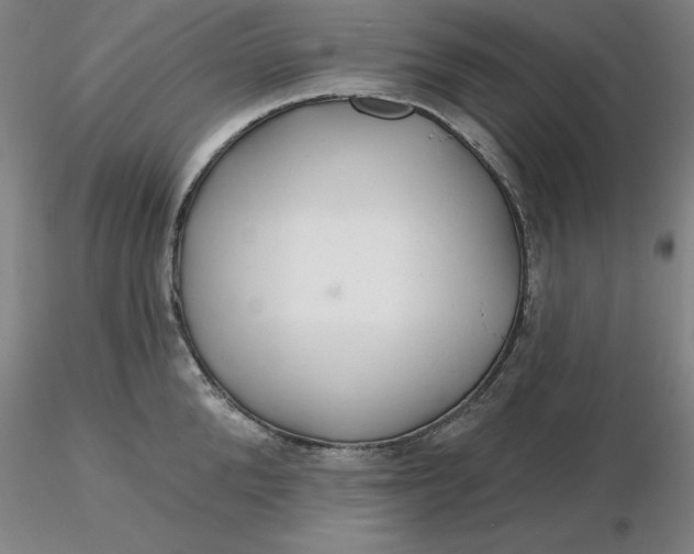 X0000116280904200912211816