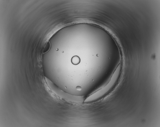 X0000116280905200912211816