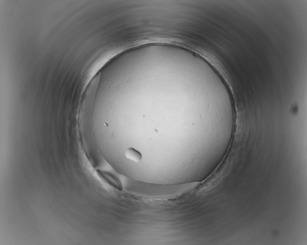 X0000116280906200912211816