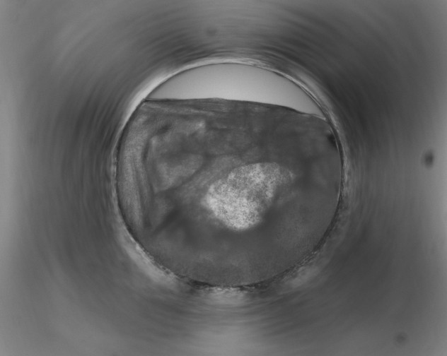 X0000116280907200912211816