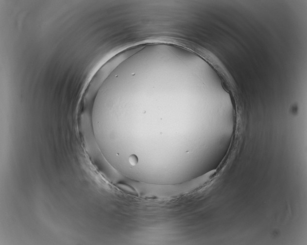 X0000116280908200912211816