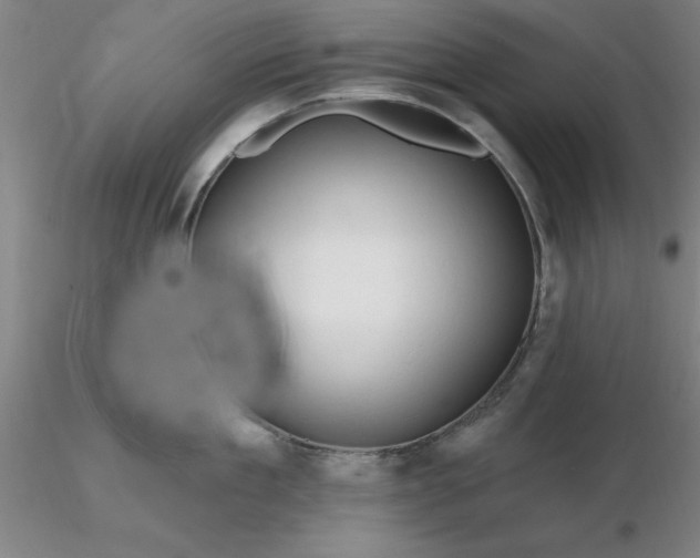 X0000116280909200912211816