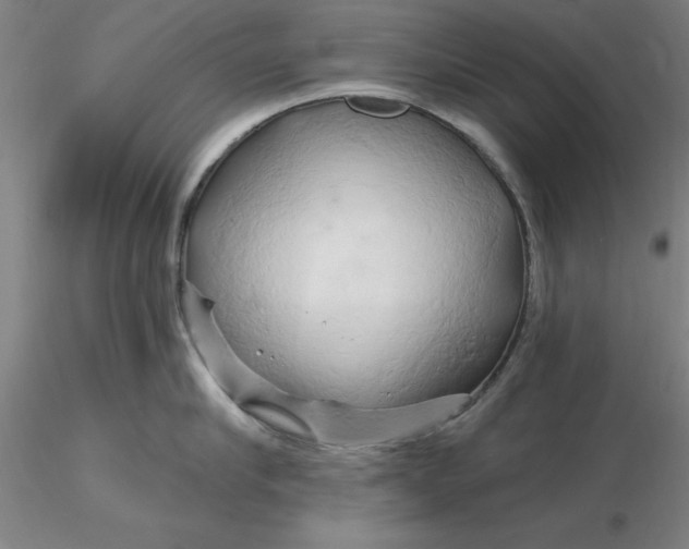 X0000116280910200912211816