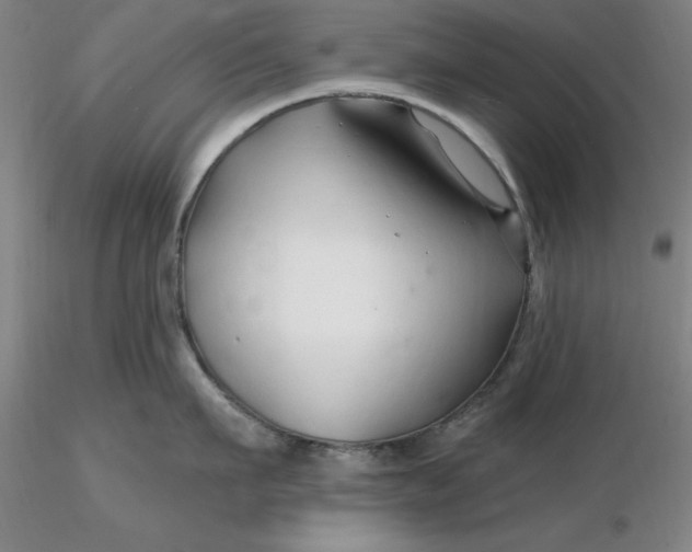 X0000116280911200912211816