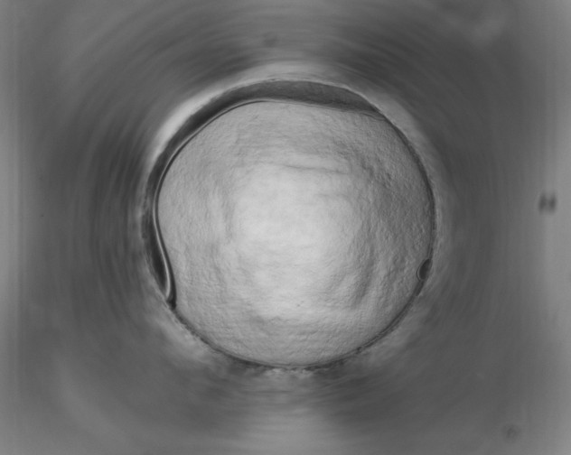 X0000116280912200912211816