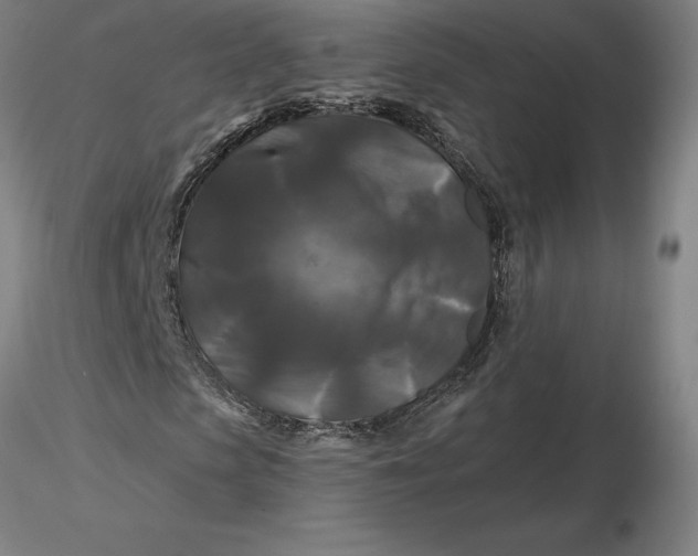 X0000116280913200912211816