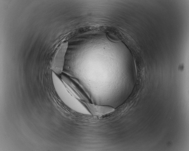 X0000116280914200912211816