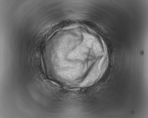 X0000116280917200912211816