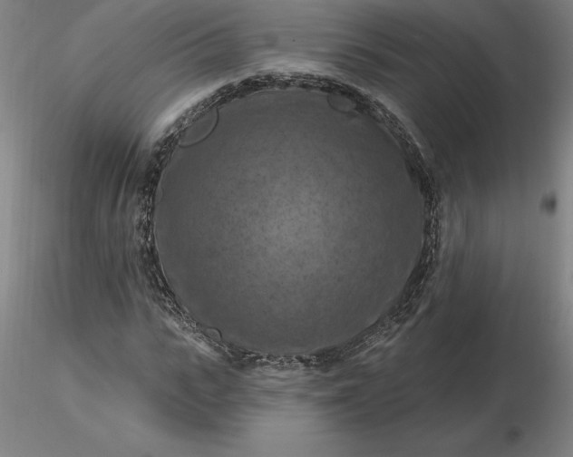 X0000116280919200912211816