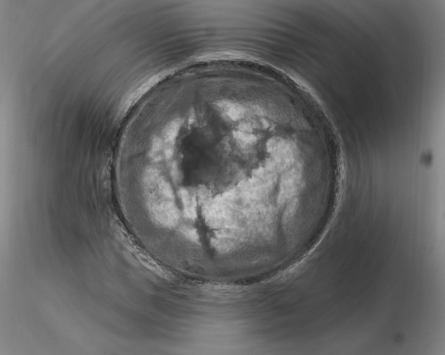 X0000116280921200912211816