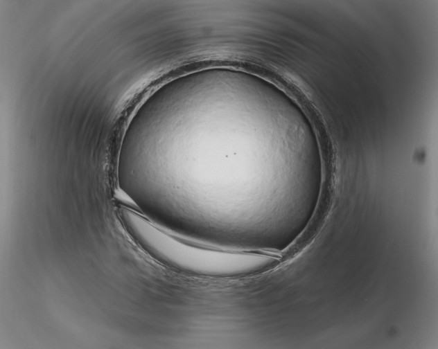 X0000116280922200912211816