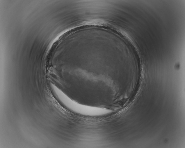 X0000116280923200912211816