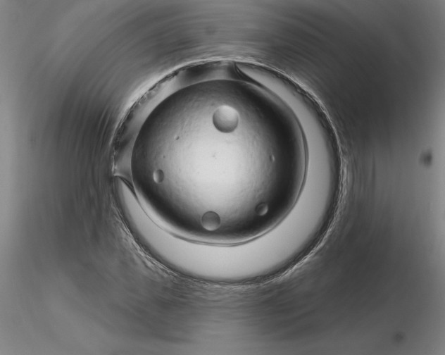 X0000116280925200912211816