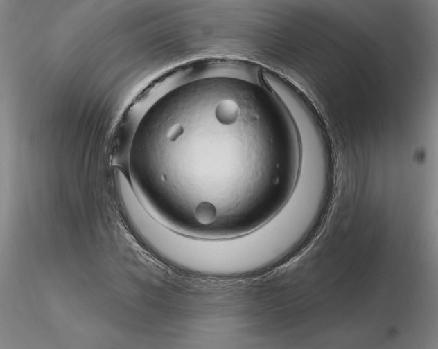 X0000116280926200912211816