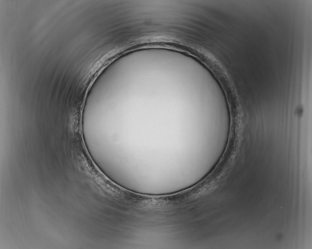 X0000116280929200912211816