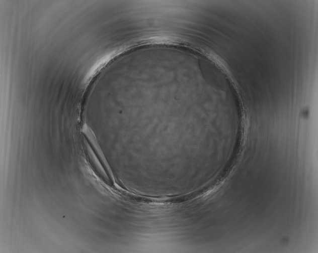 X0000116280930200912211816