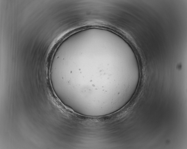 X0000116280931200912211816