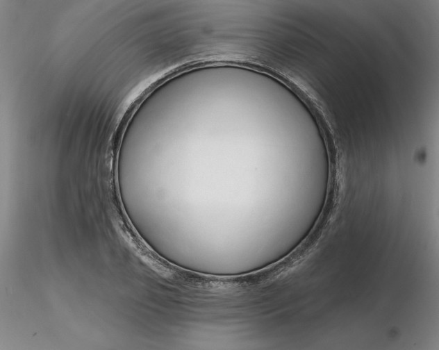 X0000116280933200912211816